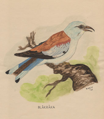 Gouache naturmotiv.