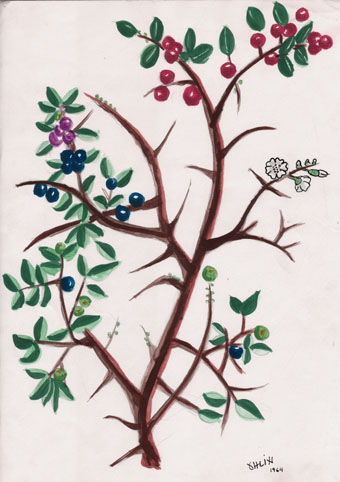 Gouache naturmotiv.