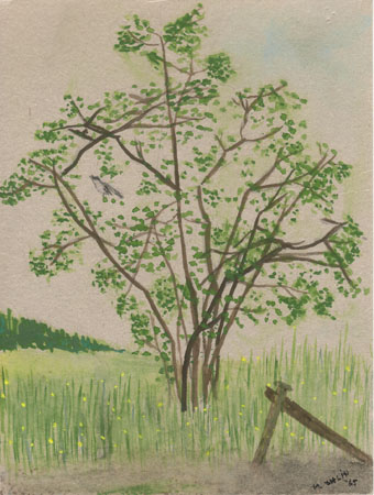 Gouache naturmotiv.