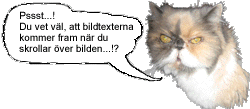h... "skrolla"? Det heter vl "hovra"?